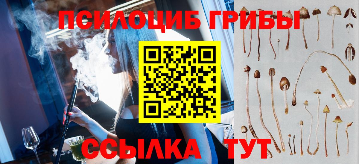 Нерюнгри  закладки  Псилоцибиновые грибы GOLDEN TEACHER  Вход с VPN  Псилоцибиновые грибы ЛСД 